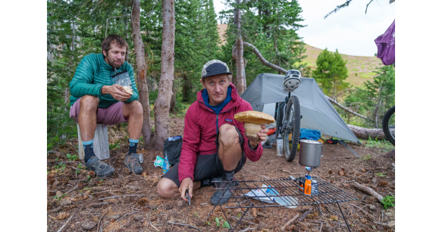 How to choose the right camping gear