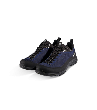 Mammut Alnasca IV Low GTX Men