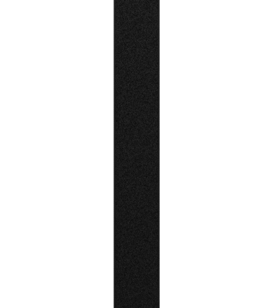 Polar Pro Chest Strap