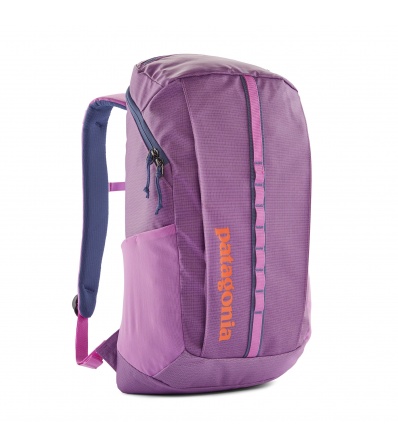 Patagonia Black Hole Pack 25L