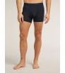 Боксерки Icebreaker Merino Blend 125 Cool-Lite Anatomica Boxers